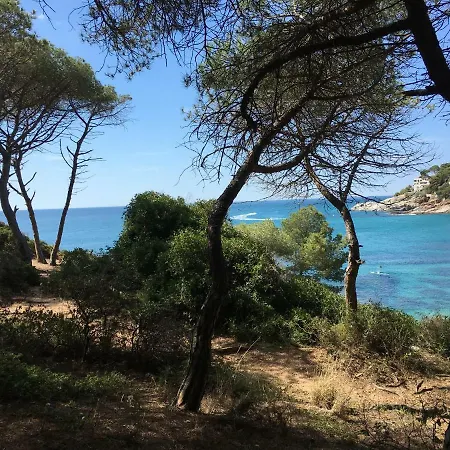 Punta Prima Apartment *